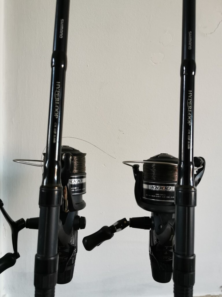 carp rods x2